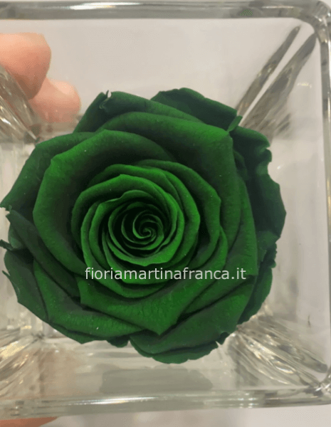 Rosa stabilizzata verde in vetro